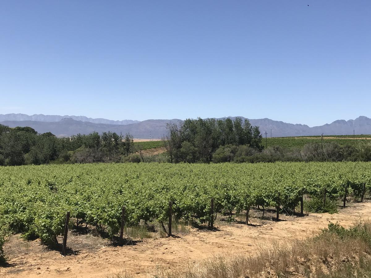 Ruby Rose Hotell Riebeek-West Exteriör bild