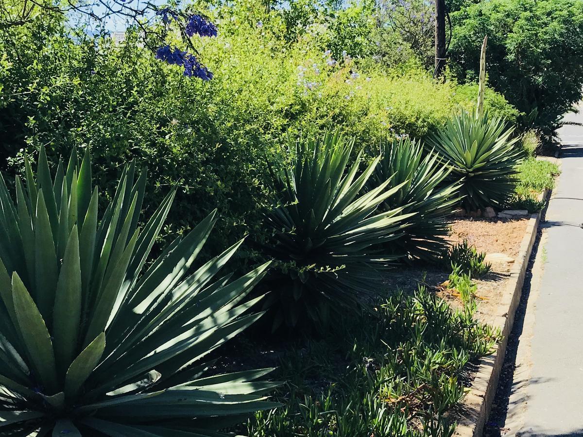 Ruby Rose Hotell Riebeek-West Exteriör bild